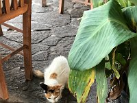 foto 052